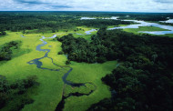 Pescare in Amazzonia