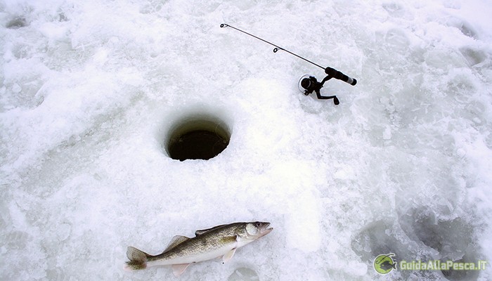 La pesca sul ghiaccio